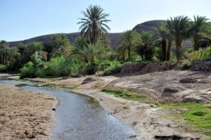 Oasis de Fint