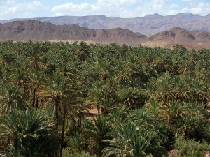 Circuit Marrakech - Désert de Zagora 2 jours