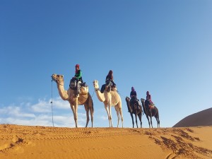 Fes desert tour 