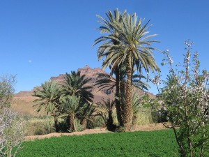 Fes desert tour 