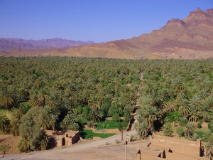 Marrakech desert tours