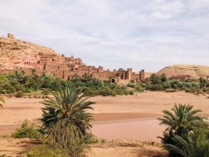 Travel Agency in Ouarzazate