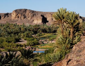 Ouarzazate day trips