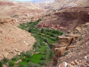 Ouarzazate day trips