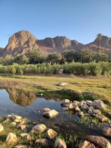 Excursions depuis Ouarzazate