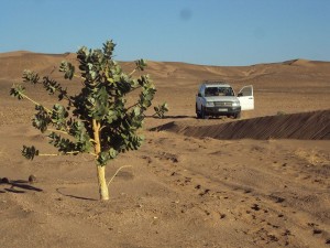 4x4 des amis   