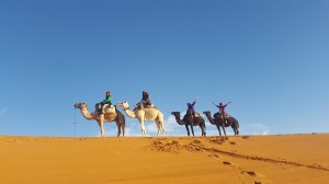 Camel ride   