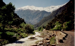 vallée d'ourika